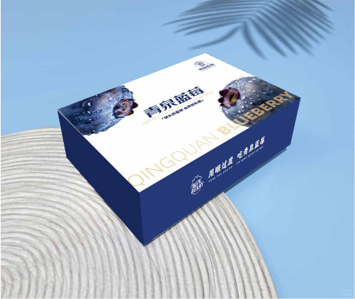 青泉蓝莓上下盖包装盒蓝莓包装设计